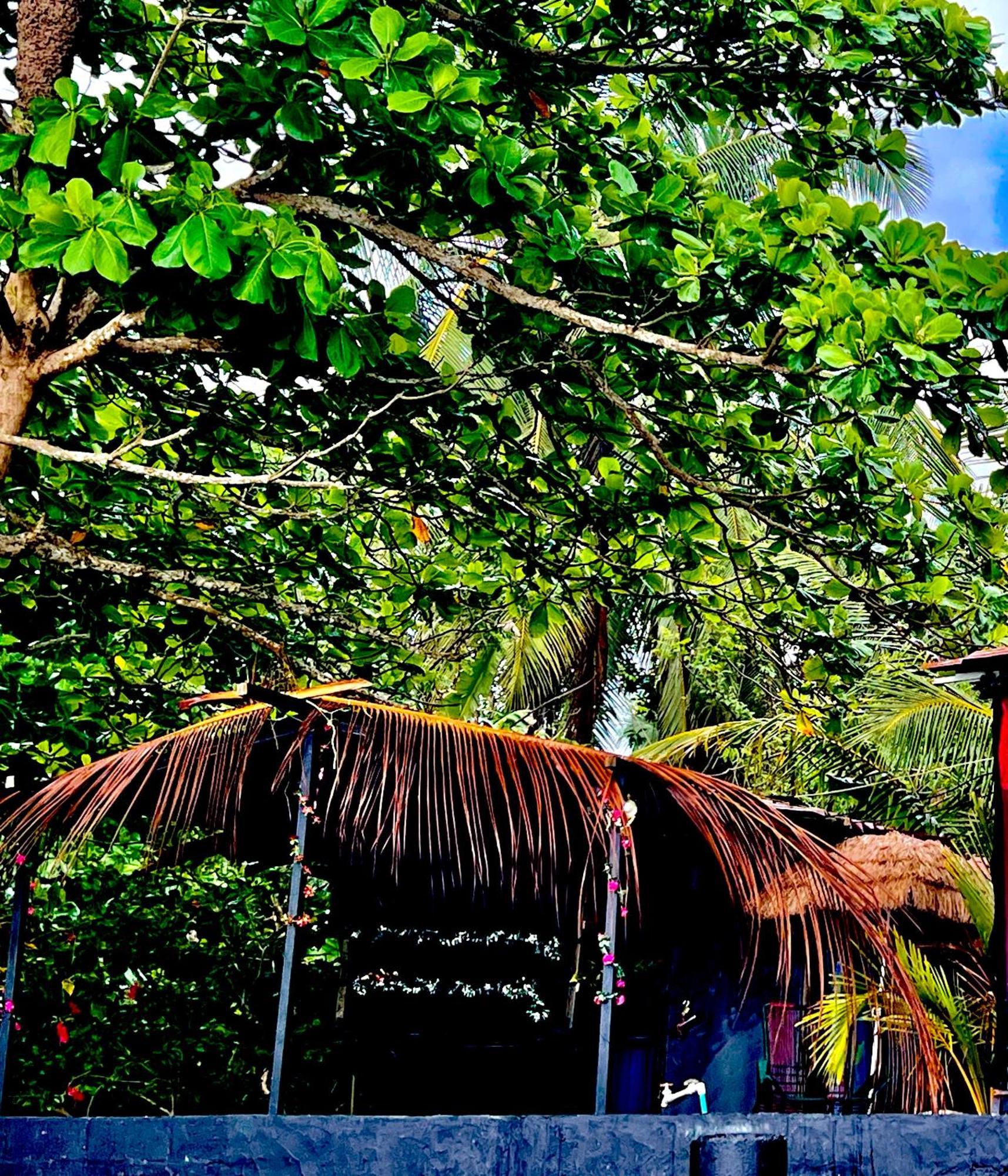 Beachfront Paradise Manuel Antonio Kültér fotó