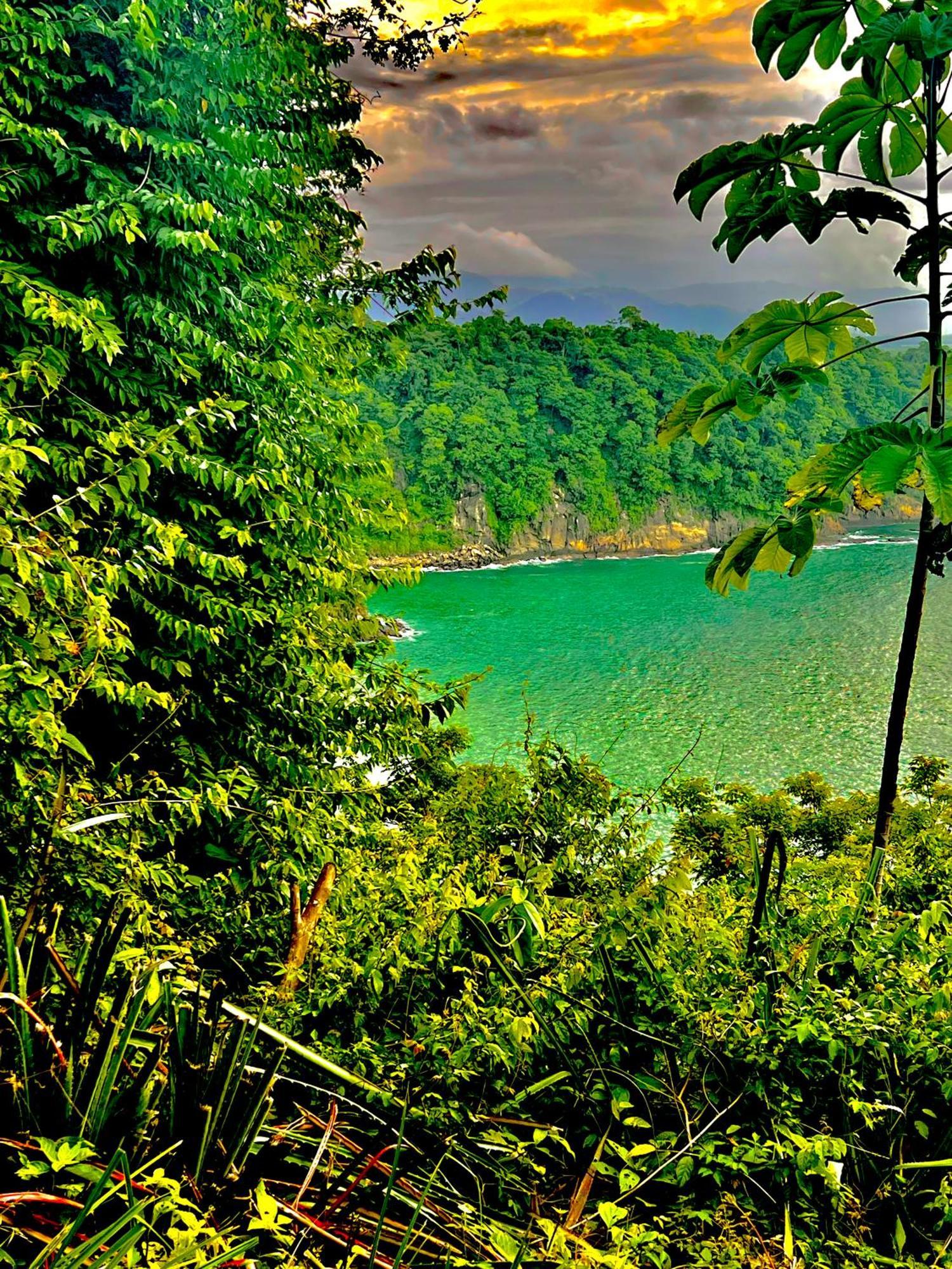 Beachfront Paradise Manuel Antonio Kültér fotó