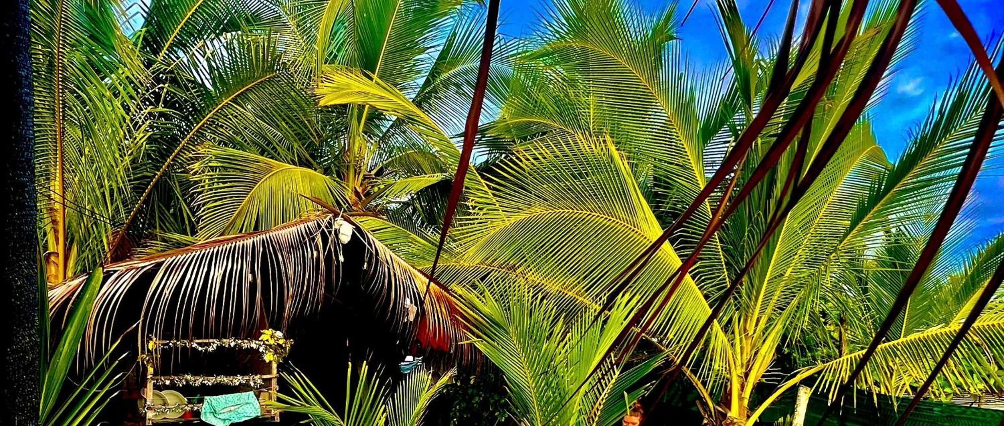 Beachfront Paradise Manuel Antonio Kültér fotó