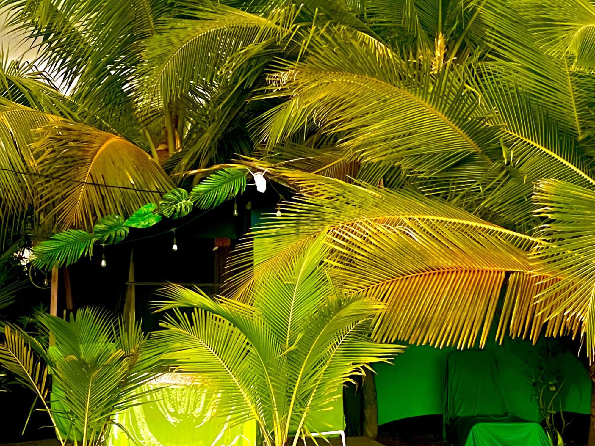 Beachfront Paradise Manuel Antonio Kültér fotó