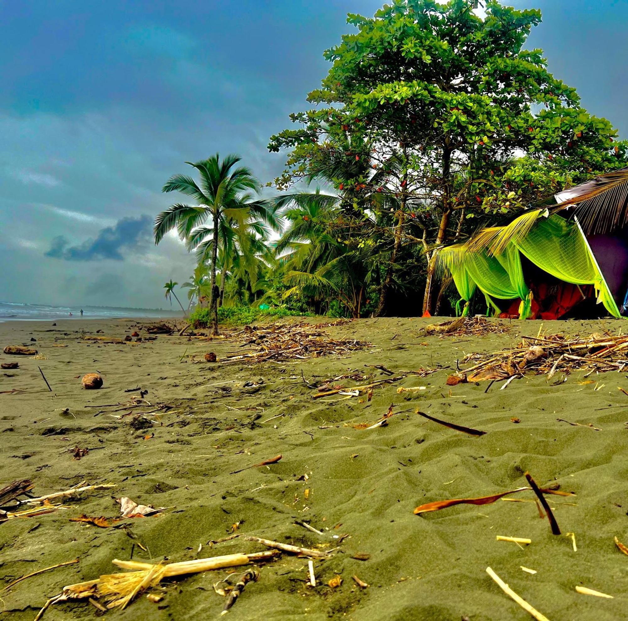 Beachfront Paradise Manuel Antonio Kültér fotó