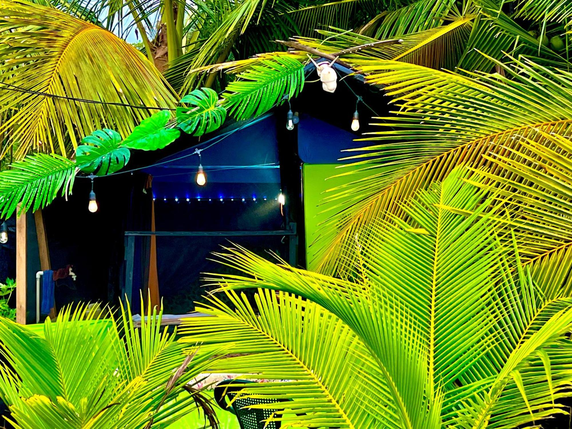 Beachfront Paradise Manuel Antonio Kültér fotó